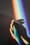 persons hands with rainbow colors