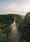 brown wooden bridge over green trees